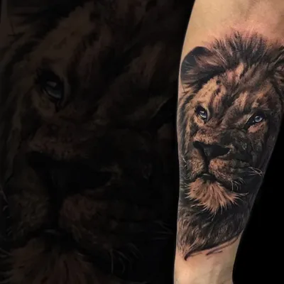 Tattoo • Подборка тату на тему: Лев на предплечье (65 фото)