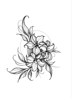 Эскиз тату лилии | Botanical tattoo, Botanical tattoo design, Flower tattoo  drawings