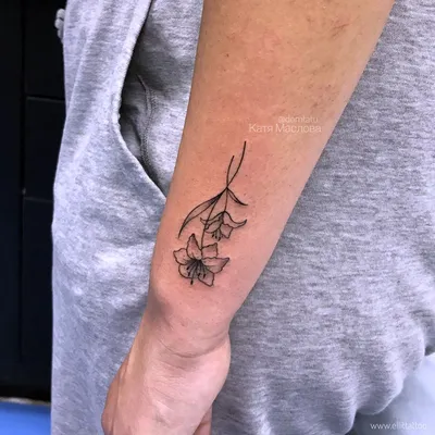 Картинки по запросу лилия рисунок | Lily flower tattoos, Lily tattoo  design, Vine tattoos