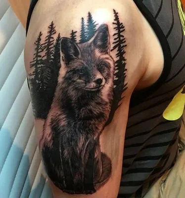 Значение тату лиса: фото и эскизы | tattoo-sketches.com | Дзен