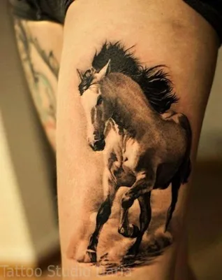 фото тату лошадь 24.12.2018 №130 - photo horse tattoo - tattoo-photo.ru -  tattoo-photo.ru