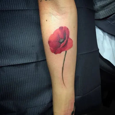 Тату мак: 100 фото, красивые эскизы, значение для девушек и мужчин |  Poppies tattoo, Tattoos, Tattoo designs