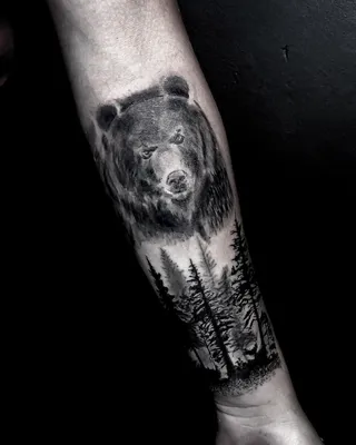 Тату медведь (92 фото) - значение татуировки, эскизы 2024