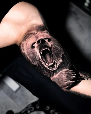 Тату медведь. Тату на руке. Тату на руке для девушек. 100+ татуировок и  эскизов на сайте! | Татуировка с медведем, Татуировки медведя, Тату