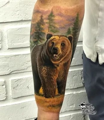 Черно-белая тату медведь на плече. Тату чб медведь на плече. Тату на руке  медведь и лес.