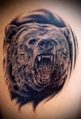Тату рукав медведь - 2 Фото и значение татуировок 2023