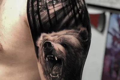 Тату медведь лес - 5 Фото и значение татуировок 2023