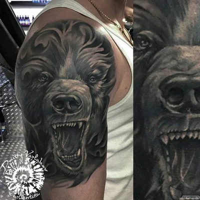 Татуировка мужская реализм на плече медведь - мастер Анастасия Юсупова 6205  | Art of Pain