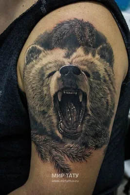 медведь тату фото тату медведя на плече Foto-Tur #yandeximages | Animal  tattoos, Bear tattoos, Sleeve tattoos