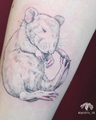 tattoo mouse тату мышонок, тату мышь, тату на руке, женские татуировки  больше эскизов и татуировок instagram.com/why_violett… | Женские татуировки,  Татуировки, Тату