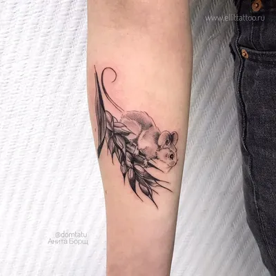 Тату эскиз летучая мышь tattoo design bat