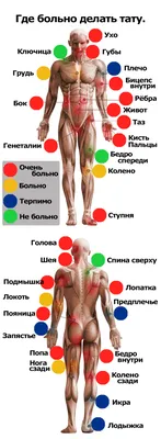 Аппараты для удаления татуировок купить в Москве и по России, цены на  аппараты по удалению тату