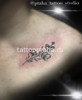 Мини тату - заказать по доступной цене / Ptaha Tattoo Studio
