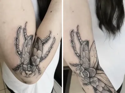 15 татуировок, которые были придуманы так, чтобы казаться обычными. Пока  человек не согнёт руку или ногу