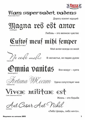 Тату надписи (100 фото идей) для девушек и мужчин с переводом | Слова для  татуировок, Татуировка текст, Татуировки со словами