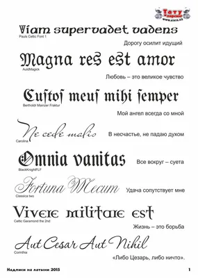 Фразы для тату на латыни со смыслом, для мужчин и девушек | Татуировка  текст, Текст тату, Тату со словами