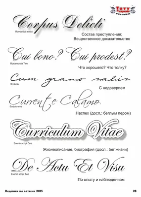 Фразы для тату на латыни со смыслом, для мужчин и девушек | Текст тату, Тату,  Татуировка текст