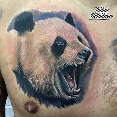 татуировки эскиз панда тату милость краска мимими бесконечность цветы  графика | Tattoos, Skull tattoo, Tattoo inspiration
