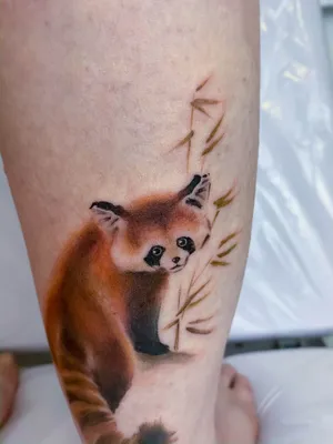 Тату на руке. Мини тату. Тату на руке для девушек. Тату панда на руке. |  Panda tattoo, Print tattoos, Tattoos