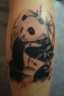 Тату на руке панда - 10 Фото и значение татуировок 2023