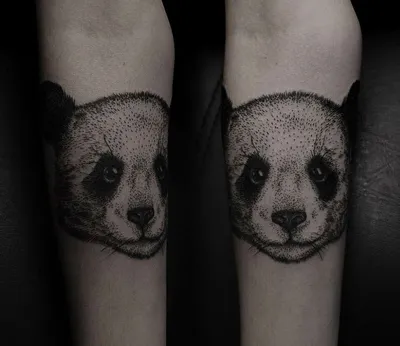 Татуировка панда в чашке: фото – работа выполнена в тату студии «West End»  (СПб)