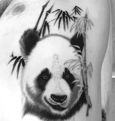 russian по низкой цене! russian с фотографиями, картинки на татуировки в  виде панды.alibaba.com