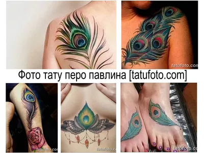 Тату павлинье перо (ФОТО) - модный тренд для стильных и смелых -  trendymode.ru