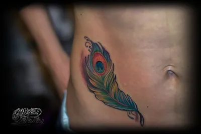 Татуировка перо павлина реализм цветная #tattoos #tattoolife #tattooing  #tattoolove #tattooworkers #tattooide… | Татуировка в виде пера, Татуировки  с желудком, Тату