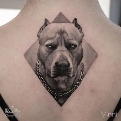 🏆 Тату-салон Pitbull-tattoo: цены на услуги, запись и отзывы на  Stilistic.ru