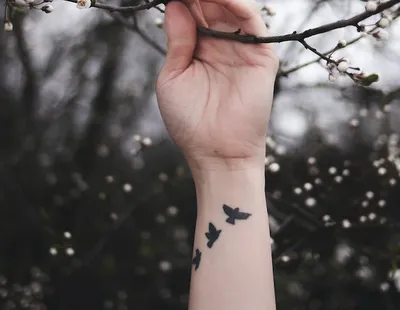 КОТ TATTOO STUDIO | Тату на руке для девушки - птицы с картинами Ван Гога и  Моне. Красивая и стильная татуировка в цвете от мастера Kot Tattoo Studio |  Дзен