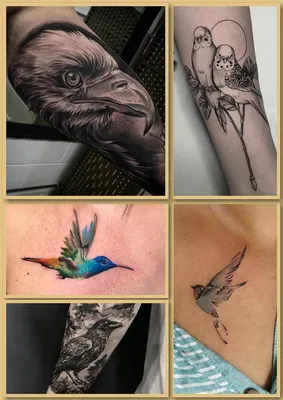 Тату птица - думаешь легко выбрать «свою» татуировку? | tattoo-sketches.com  | Дзен