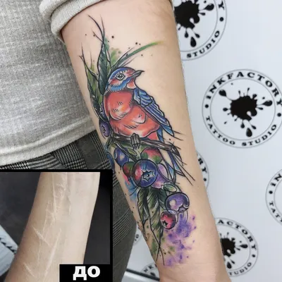 Тату на руке для девушек с изображением птиц - красота и символизм -  tattopic.ru