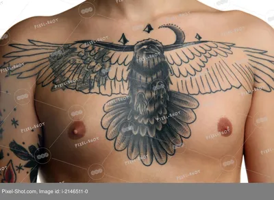 Тату птица лайнворк - 4 Фото и значение татуировок 2023
