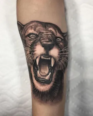 Эскиз татуировки пантера: красота и символика - tattopic.ru