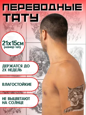 татуировки для девушек (9635) | Tatuagens exclusivas, Tatuagens para  mulheres pequenas, Tatuagem de manga