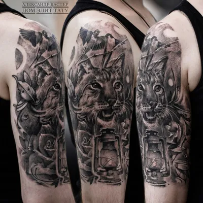 ТАТУИРОВКА НОВОСИБИРСК on Instagram: \"#рысьтату#татуновосибирск#тату#tattoo# рысь\"