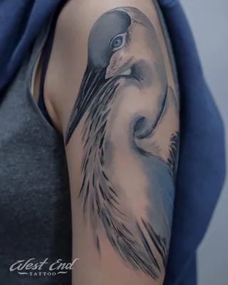 Тату птицы. Тату ласточка. Ласточки. Мини тату. Bird Tattoo. Tattoo  swallow. Swallows Mini tattoo. | Татуировки, Тату, Тату минимализм