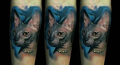 Темный сфинкс, Черный кот, пентаграмма, Геометрическая татуировка,  наклейка, искусственные татуировки, тату hotwoman, Временные татуировки,  милая искусство, искусство, искусство | AliExpress