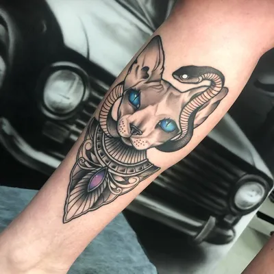 Сфинкс тату. Кот тату | Top tattoos, Future tattoos, Skull tattoo