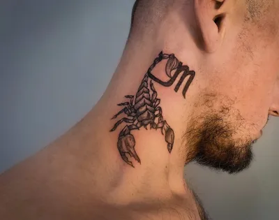 Тату скорпион (85 фото) - значение татуировки, эскизы 2024
