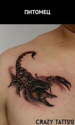 Тату с 3D Скорпионом. Больше татуировок и эскизов со скорпионом на сайте и  в Инстаграме | Татуировка скорпиона, Тату, Тату для парня