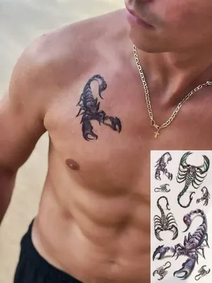 Тату Скорпион - фото, эскизы татуировки Скорпион, значение | Сделать тату  Скорпион в СПб - Art of Pain