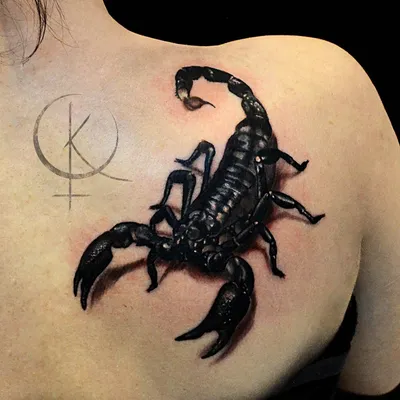 Тату эскизы \"Скорпион\" - VeAn Tattoo