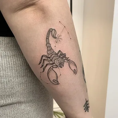Необычное значение татуировки скорпион | tattoo-sketches.com | Дзен