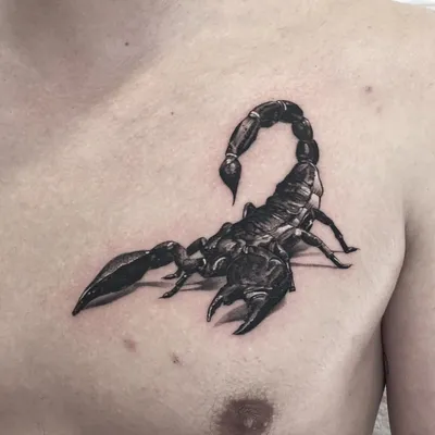 160+] Фото Тату Знака Зодиака Скорпион и Созвездие | Tatouage scorpion,  Tatouage, Tatouage de scorpion