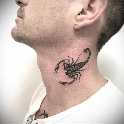 Временная татуировка купить Временная татуировка Скорпион 34407 в магазине  Neformarket