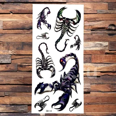 Тату скорпион – 60 фото | Самые красивые татуировки скорпиона