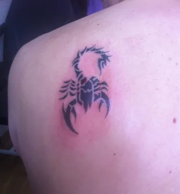 Татуировка Скорпион - персонаж Mortal Kombat, перекрытие | Пикабу