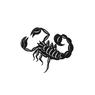 Татуировки Скорпион в пустыне в стиле Реализм, Черно-Серая Лопатки /  Каталог тату-салонов и мастеров