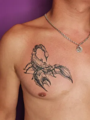 Татуировка Скорпион | Тату-салон Soleness Coworking | Профессиональное  нанесение татуировок любой сложности